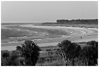 Beach at sunset, Fort De Soto Park. Florida, USA (black and white)