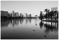 City skyline with row of palm trees at sunrise, Sumerlin Park. Orlando, Florida, USA (black and white)