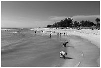 Turner Bearch, Captiva Island. Florida, USA (black and white)