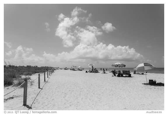Bowman Beach, Sanibel Island. Florida, USA (black and white)