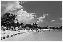 Sombrero Beach in summer, Marathon Key. The Keys, Florida, USA ( black and white)
