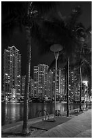 Palm trees, Miami Riverwalk, Brickell at night, Miami. Florida, USA ( black and white)