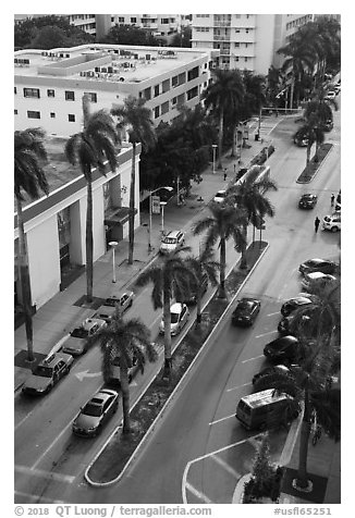 Street and taxis from above, Miami Beach. Florida, USA (black and white)