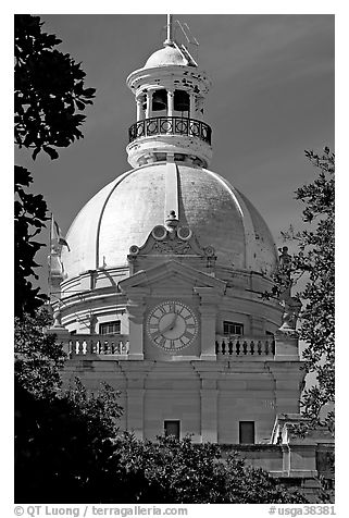 Dome of City Hall. Savannah, Georgia, USA (black and white)