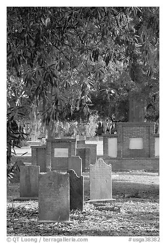 Colonial park cemetery. Savannah, Georgia, USA (black and white)