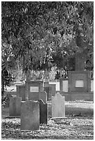 Colonial park cemetery. Savannah, Georgia, USA (black and white)
