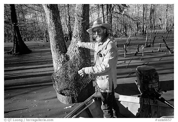 Bayou guide of French descent retriving net,  Lake Martin. Louisiana, USA (black and white)