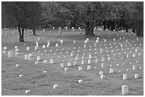 Headstones and trees, Vicksburg National Military Park. Vicksburg, Mississippi, USA (black and white)