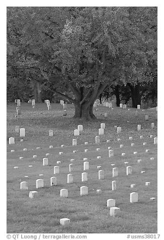 Cemetery, Vicksburg National Military Park. Vicksburg, Mississippi, USA (black and white)