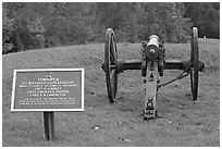 Confederate position marker and cannon, Vicksburg National Military Park. Vicksburg, Mississippi, USA ( black and white)