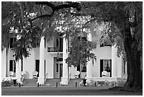 Antebellum house and live oak tree. Natchez, Mississippi, USA ( black and white)