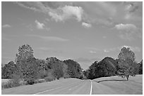 Road in meadow. Natchez Trace Parkway, Mississippi, USA ( black and white)