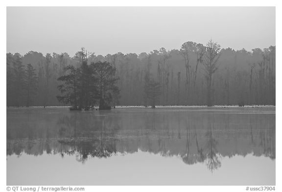 Lake with cypress and dawn. South Carolina, USA