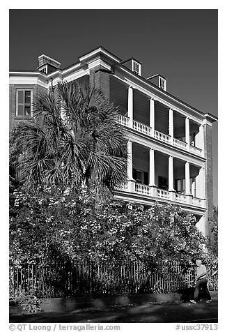 Historic antebellum mansion. Charleston, South Carolina, USA (black and white)