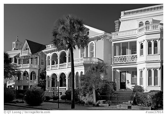 Row of Antebellum houses. Charleston, South Carolina, USA (black and white)