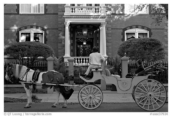 Horse carriage in front of historic mansion. Charleston, South Carolina, USA (black and white)