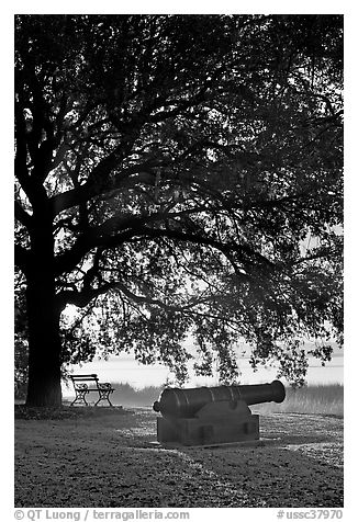 Cannon, bench, and oak tree, sunrise. Beaufort, South Carolina, USA