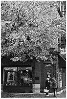 Tree in fall foliage and brick building. Nashville, Tennessee, USA (black and white)