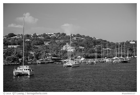 Red Hook harbor. Saint Thomas, US Virgin Islands (black and white)
