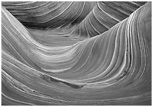 The Wave, main formation. Coyote Buttes, Vermilion cliffs National Monument, Arizona, USA ( black and white)