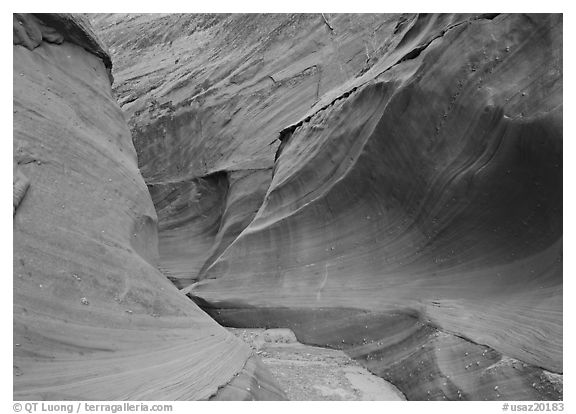 Water Holes Canyon. USA (black and white)