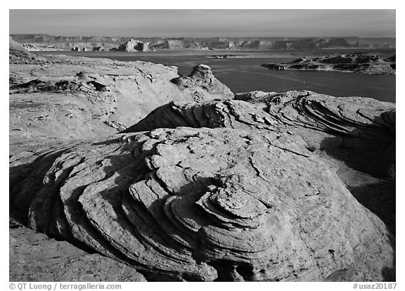 Sandstone Swirls and Lake Powell, Glenn Canyon National Recreation Area, morning. USA (black and white)