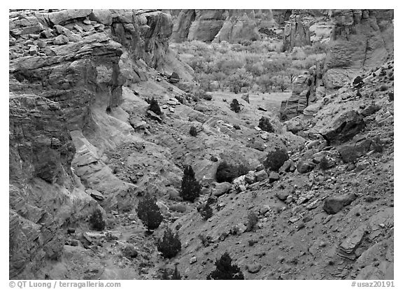 Red rocks, Canyon de Cheilly, Junction Overlook. USA (black and white)