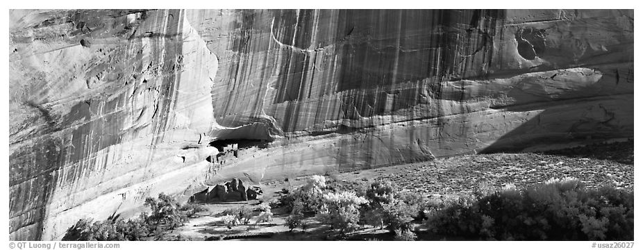 Canyon de Chelly scenery with ruin and trees in autumn color. Canyon de Chelly  National Monument, Arizona, USA (black and white)