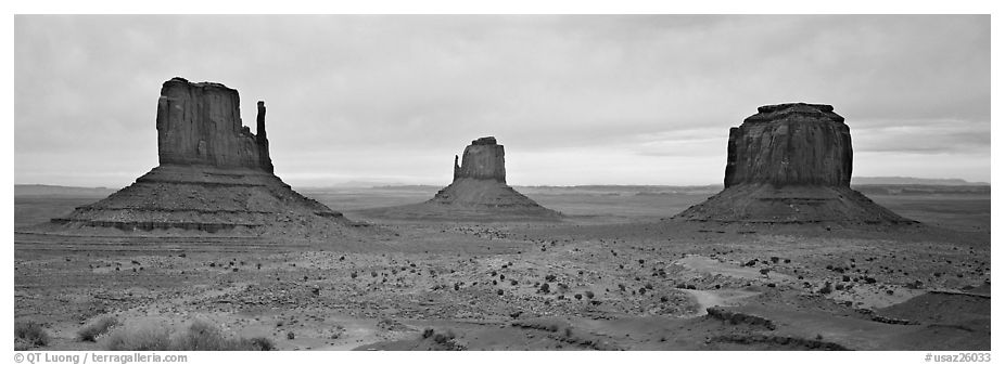 Monument Valley landscape and mittens. Monument Valley Tribal Park, Navajo Nation, Arizona and Utah, USA (black and white)