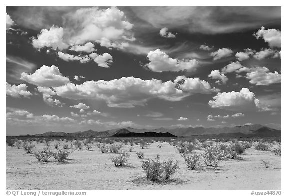 Sandy plain and clouds, South Maricopa Mountains. Sonoran Desert National Monument, Arizona, USA (black and white)
