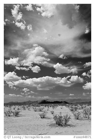 Sandy flat and clouds, South Maricopa Mountains. Sonoran Desert National Monument, Arizona, USA (black and white)