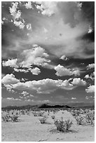 Sandy flat and clouds, South Maricopa Mountains. Sonoran Desert National Monument, Arizona, USA ( black and white)
