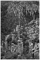 Rhyolite columns. Chiricahua National Monument, Arizona, USA ( black and white)