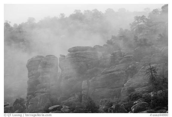 Fog and spires. Chiricahua National Monument, Arizona, USA (black and white)