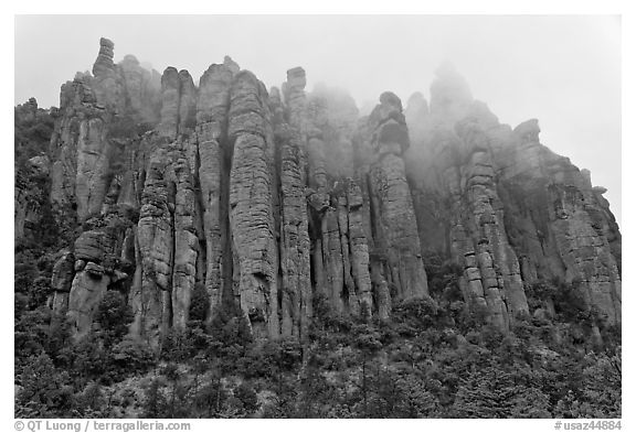 Stone columns. Chiricahua National Monument, Arizona, USA (black and white)