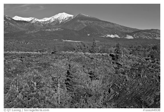 Lava fields and snow-capped San Francisco Peaks, Sunset Crater Volcano National Monument. Arizona, USA
