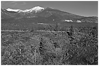 Lava fields and snow-capped San Francisco Peaks. Sunset Crater Volcano National Monument, Arizona, USA ( black and white)