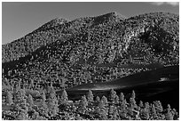 Cinder-covered slopes, Sunset Crater Volcano National Monument. Arizona, USA (black and white)