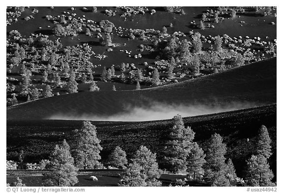 Steam rising from cinder landscape. Sunset Crater Volcano National Monument, Arizona, USA (black and white)