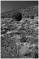 Volcanic hillside, Wupatki National Monument. Arizona, USA (black and white)