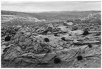 Sandstone landscape of Coyote Buttes South. Vermilion Cliffs National Monument, Arizona, USA ( black and white)