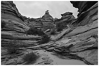 Twisted sandstone buttes, Coyote Buttes South. Vermilion Cliffs National Monument, Arizona, USA ( black and white)