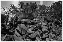 Nampaweap Rock Art Site. Grand Canyon-Parashant National Monument, Arizona, USA ( black and white)