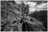 Nampaweap Petroglyphs. Grand Canyon-Parashant National Monument, Arizona, USA ( black and white)