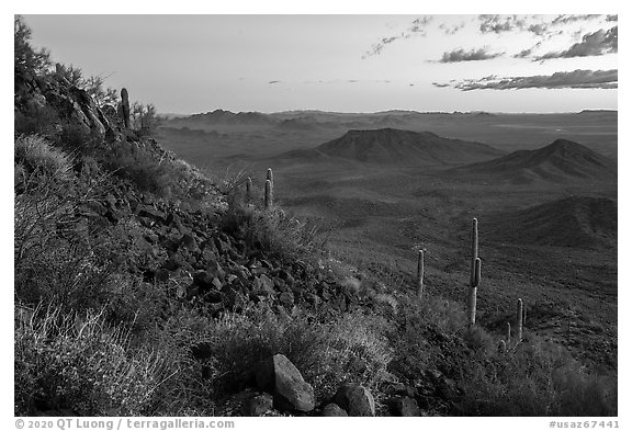 Lava field and desert vegetation on slopes of Table Top Mountain at twilight. Sonoran Desert National Monument, Arizona, USA (black and white)