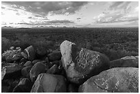 Hohokam petroglyphs on Cocoraque Butte boulders at sunset. Ironwood Forest National Monument, Arizona, USA ( black and white)