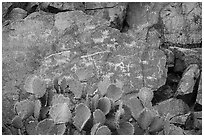 Panel of petroglyphs, Badger Springs Canyon. Agua Fria National Monument, Arizona, USA ( black and white)