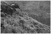 Basalt rocks, Agua Fria Canyon slopes. Agua Fria National Monument, Arizona, USA ( black and white)
