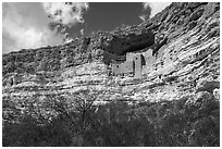 Sinagua cliff dwelling, Montezuma Castle National Monument. Arizona, USA ( black and white)