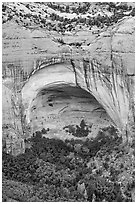 Betatakin ruins in large alcove. Navajo National Monument, Arizona, USA ( black and white)
